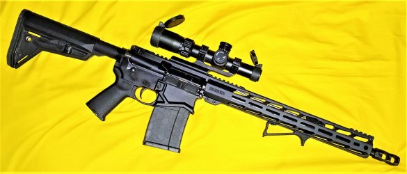 Ruger SFAR 308 01.jpg