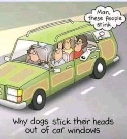 FB_IMG_1677131219874.jpg