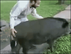 1676762721250.gif