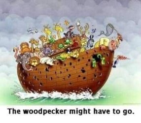 FB_IMG_1682534132674.jpg