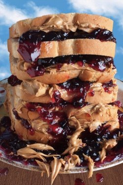 30fa9b8c6df946ce0514a5b0a2144fb5--jelly-recipes-food-porn.jpg