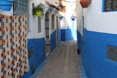 IMG_0946.jpeg