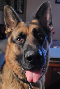 Gus 21 copy.jpg
