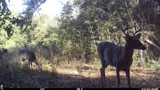 IMG_0551.jpeg
