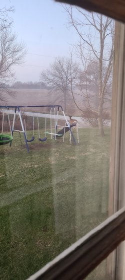 Resized_20221128_064853.jpeg