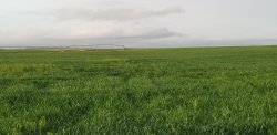 20190430_194914.jpg