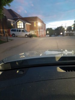 IMG_7257.jpeg