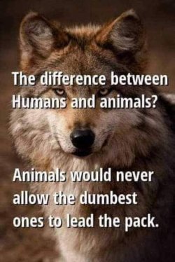FB_IMG_1695257883542.jpg