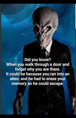 FB_IMG_1715646243722.jpg
