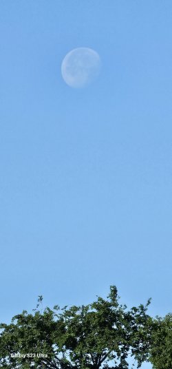 20240526_075031.jpg