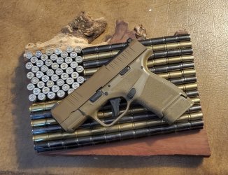 9mm Flag and Hellcat.jpg