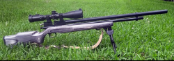 22 cal custom PCP repeater.png