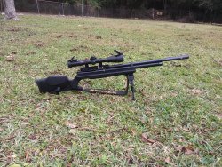 hatsan rifle 25 cal.jpg