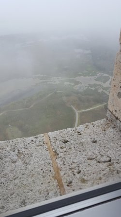 20161207_131752.jpg