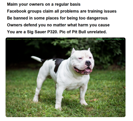 Sig P320 vs Pit Bull.png
