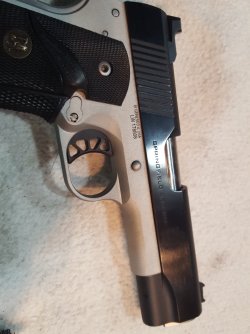 Springfield Ronin 45 acp.jpg
