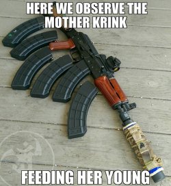 IMG_0242.jpeg