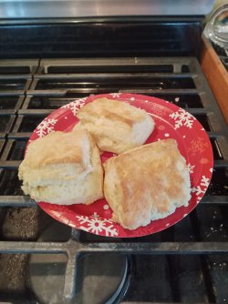 IMG_20220121_115837415.jpg