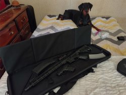 sunkissed ar15-2.jpg