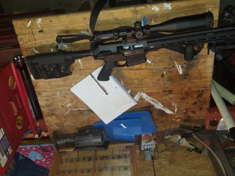 stag arms AR 10 308.jpg
