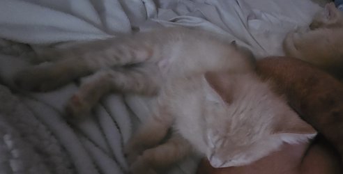 20250417_091931.jpg