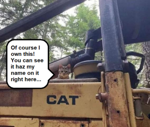 CAT Heavy Equipment.png