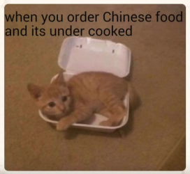 Undercooked Chinese Food.png