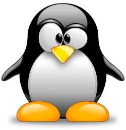 1750040684672.png