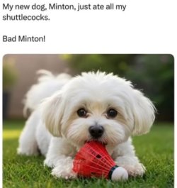 IMG_9696.jpeg