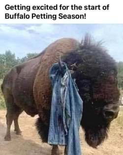 FB_IMG_1749584692420.jpg