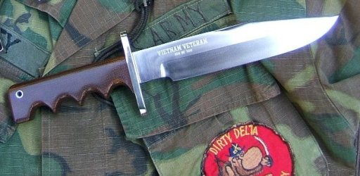 BHawkModel143smcrop.jpg