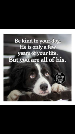 IMG_0287.png
