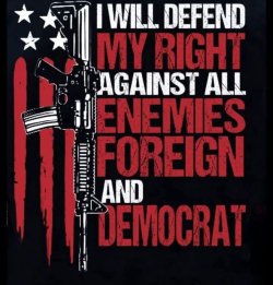 Defend 2A.jpg
