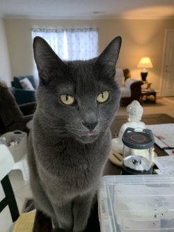 IMG_0614.jpeg