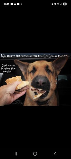 IMG_8837.jpeg