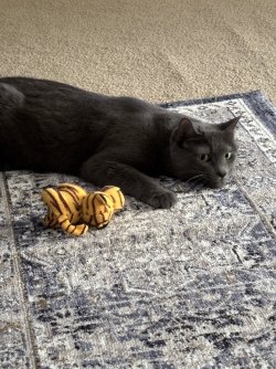 IMG_4728.jpeg