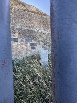 IMG_5795.jpeg