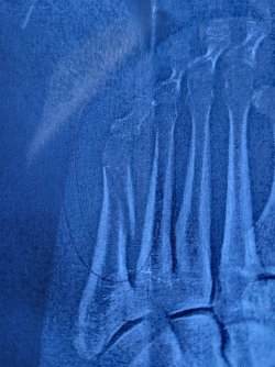 20251022_105553.jpg