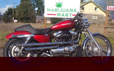 2016-02-12 18.23.34.jpg