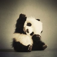 PandaWanKenobe