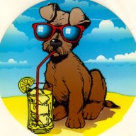dc3dog