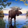 Mark Dussault