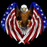 bobhicksscuba