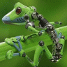cyberfrog