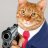 1911FirearmCat
