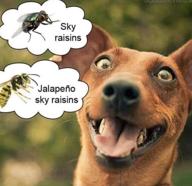 ef4vhG.jpg