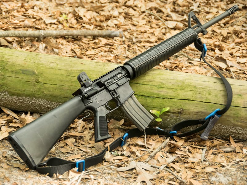 gunmagwarehouse.com
