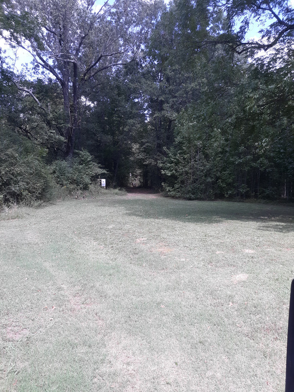 20240925_130640.jpg