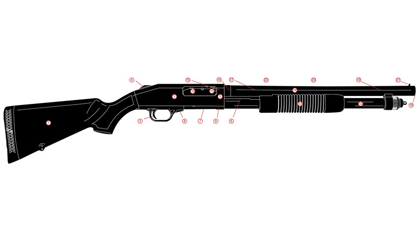 www.shootingillustrated.com