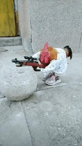www.gif-vif.com